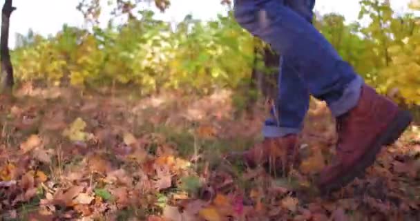 Las piernas de los hombres se cierran contra el fondo del follaje caído. Paseos turísticos en la naturaleza durante el día. Joven chico sano camina a través de bosques. — Vídeo de stock