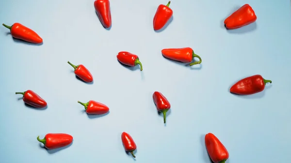Chillies or peppers and capsicums or bell peppers. sweet bell, paprika, cayenne, chilli, hungarian wax pepper, isolated on light blue background — Stock Photo, Image