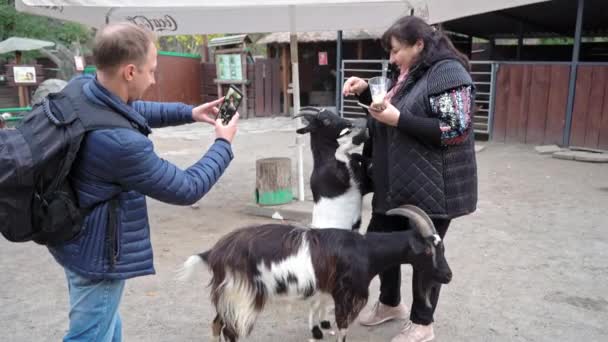 一个成年人家庭参观了动物园，喂动物、山羊、切碎的蔬菜。一个男人在一个女人喂山羊的时候给她拍照。基辅动物园。October 2020.Kyiv, 4k UHD — 图库视频影像