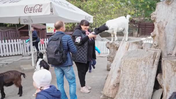 Uma família de adultos com crianças visita um zoológico aberto e ensina as crianças a cuidar de animais. Zoológico de Kiev. Outubro de 2020. Kiev, Ucrânia Imagens de alta qualidade de resolução 4k — Vídeo de Stock