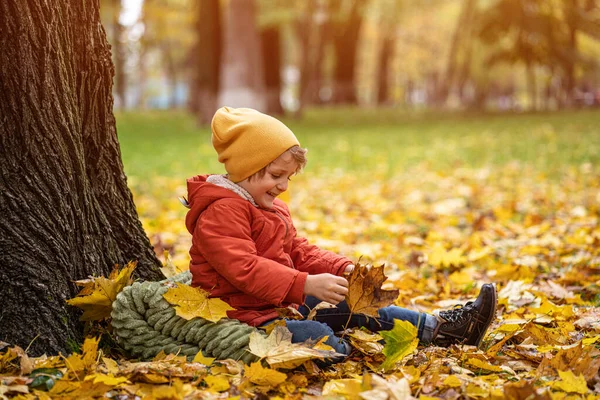 Micul băiat drăguț se distrează în aer liber în parc în timpul toamnei stând în frunzele de sub un copac într-o jachetă caldă de toamnă și o pălărie drăguță — Fotografie, imagine de stoc