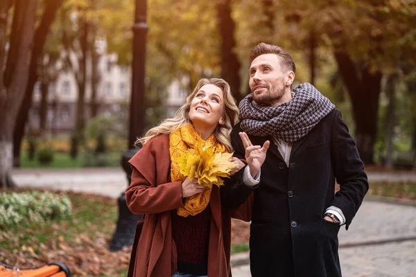 Ein Pärchen bei einem Date, das beim Spazierengehen im herbstlichen Park aufblickt, hält Händchen. Außenaufnahme eines jungen verliebten Paares, das auf einem Pfad durch einen herbstlichen Park spaziert. Getöntes Bild — Stockfoto