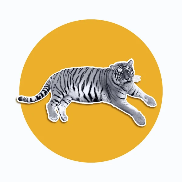 虎の白い背景を持つ黄色の円の上に敷設。野生動物のデジタル描画。ラスターストックイラスト — ストック写真