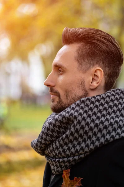 Face profile photo of handsome young man in dark blue coat and scarf or muffler. A young business man stands on the street in an autumn coat looks confidently sideways away — Stock Photo, Image