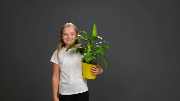 Menina segurando uma planta de flor em vaso de cor amarela em suas mãos. Menina vestindo t-shirt branca sorrindo para a câmera. Isolado em fundo cinza escuro ou preto — Fotografia de Stock