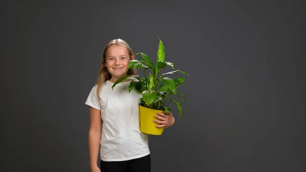 Niña sosteniendo una planta de flores en maceta de color amarillo en sus manos. Chica vistiendo camiseta blanca sonriendo a la cámara. Aislado sobre fondo gris oscuro o negro — Foto de Stock