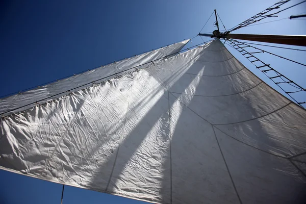 Voiles dans le ciel — Photo