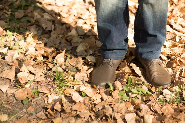 Ноги чоловічої статі в осінній сезон — стокове фото