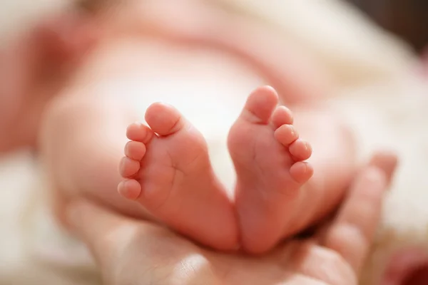 Madre sostiene en sus manos un pequeño pie de bebé — Foto de Stock