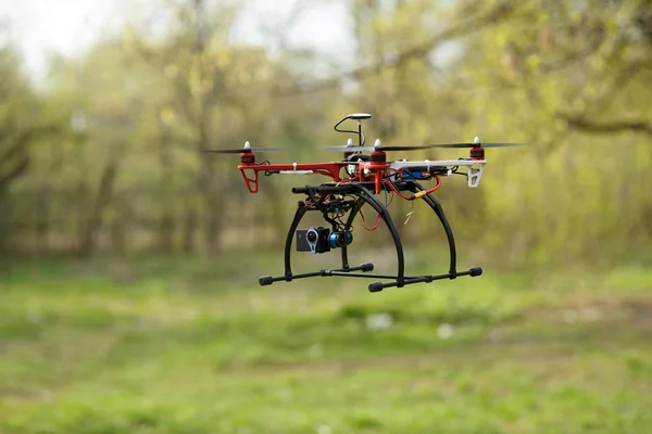 Drone flying in forest — Stock Photo, Image