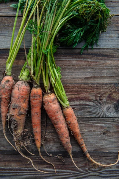 Mazzo di carote arancioni fresche con sporcizia su sfondo vecchio legno rustico — Foto Stock