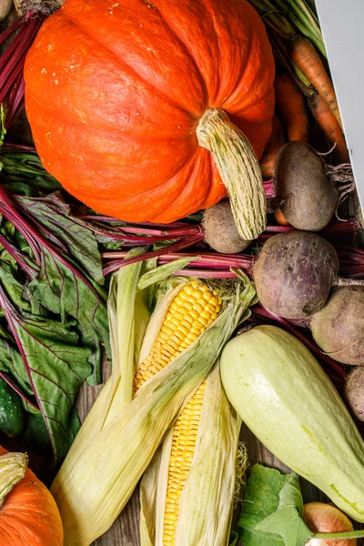 Primeros planos de las verduras de otoño — Foto de Stock