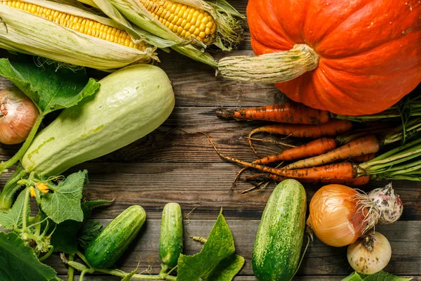 Outono colheita legumes — Fotografia de Stock