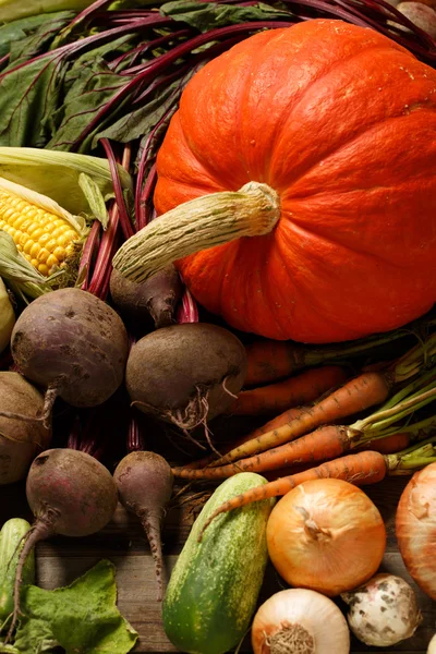 Mezclar verduras crudas — Foto de Stock