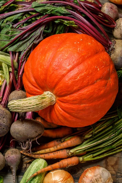 Orange pumpa med andra grönsaker — Stockfoto