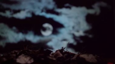 topraktan gelen zombi el