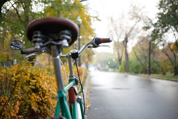 山地自行车。积极休闲的性质 — 图库照片