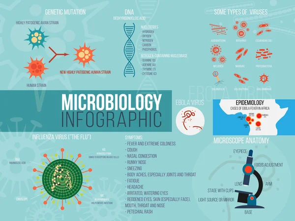 Mikrobiyoloji Infographic. Virüs farklı şekillerle ayarlayın. Düz tasarım öğeleri. — Stok Vektör