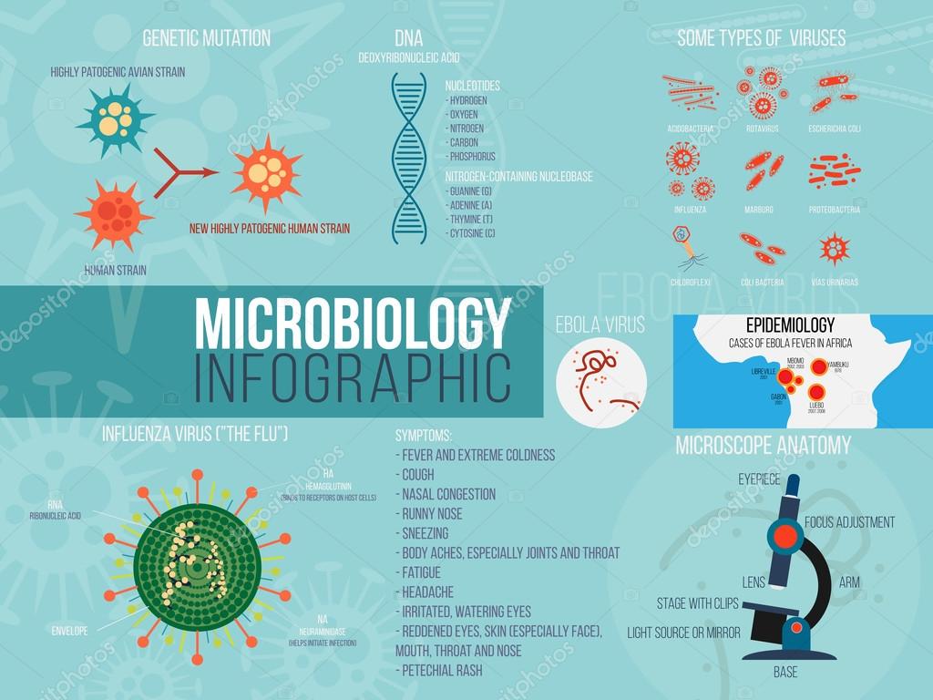 Microbiology Infographic
