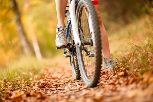 Närbild cykel — Stockfoto