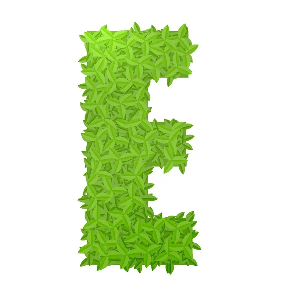 Лист упсекази E, що складається з зеленого листя — стоковий вектор