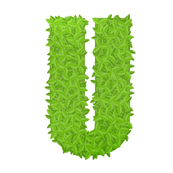 Літера U, що складається з зеленого листя — стоковий вектор