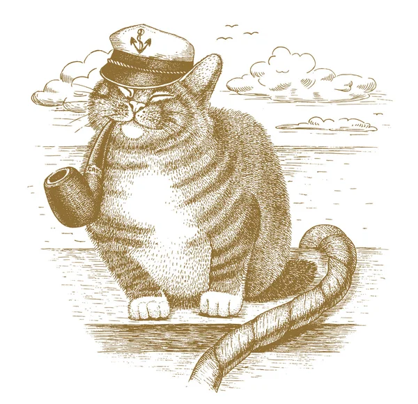 Cat captain drawn by hand — Stock Vector