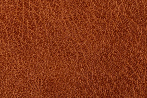 Background with texture of brown leather — Stock Photo, Image