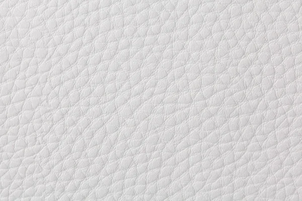 arka plan beyaz deri dokusu ile 