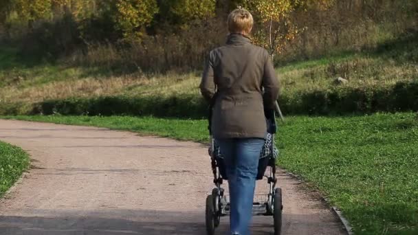 Mujer con el carro de bebé — Vídeos de Stock