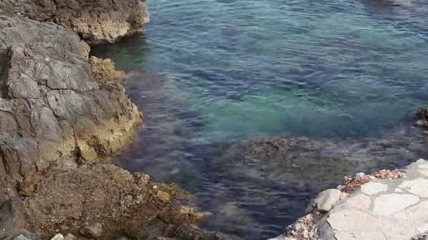 Kusten av Adriatiska havet — Stockvideo