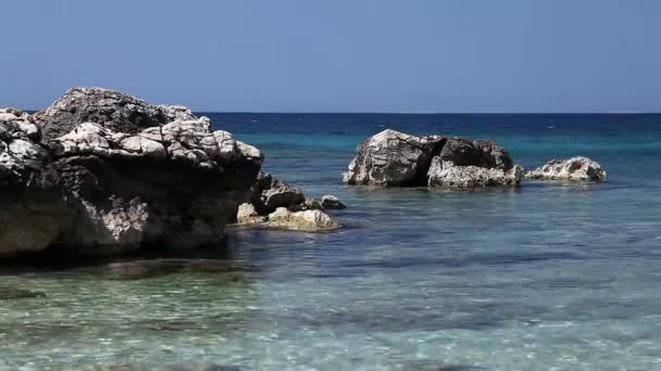 Côte de la mer Adriatique — Video