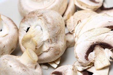 champignon mantarları