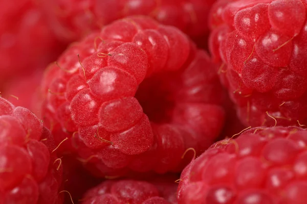 Raspberry — Stock Photo, Image