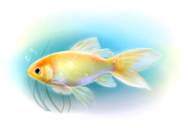 Goldfish in the sea.  Aquarium fish. Realistic  illustration — Stock Vector