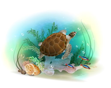 Deniz kaplumbağası okyanusta yüzüyor. Tropikal unde çizimi