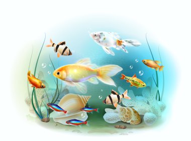 Tropikal sualtı dünyasını Illustration. Akvaryum balık.