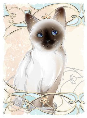 Tay yavru kedi portresi. Geleneksel Siamese kedi. 