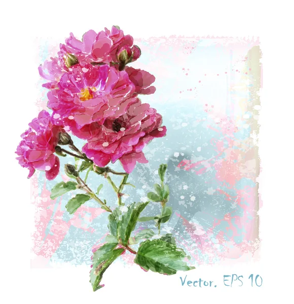 Hand drawn  watercolor pink roses — Stock Vector