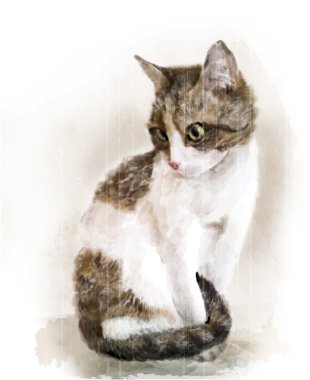 kedi suluboya portre
