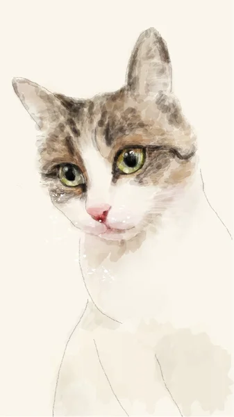 Hand getrokken aquarel schets van de kat — Stockvector