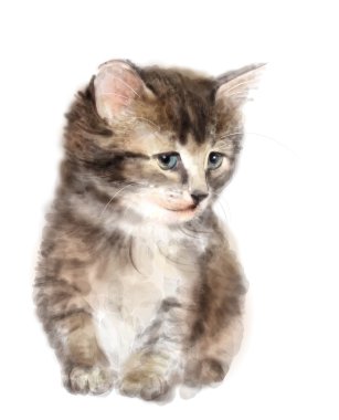 Kabarık kedi yavrusu. Suluboya taklit.