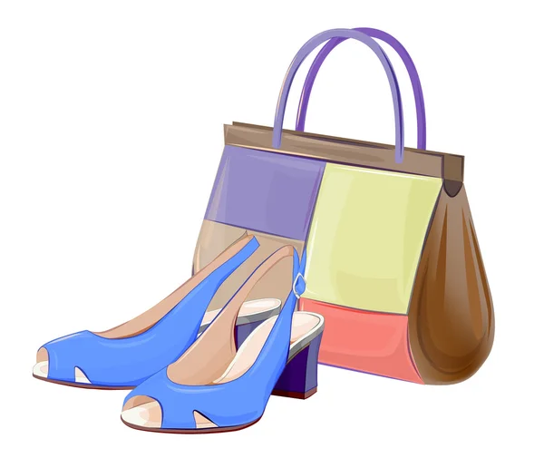 Set of handbags and shoes — Stock Vector