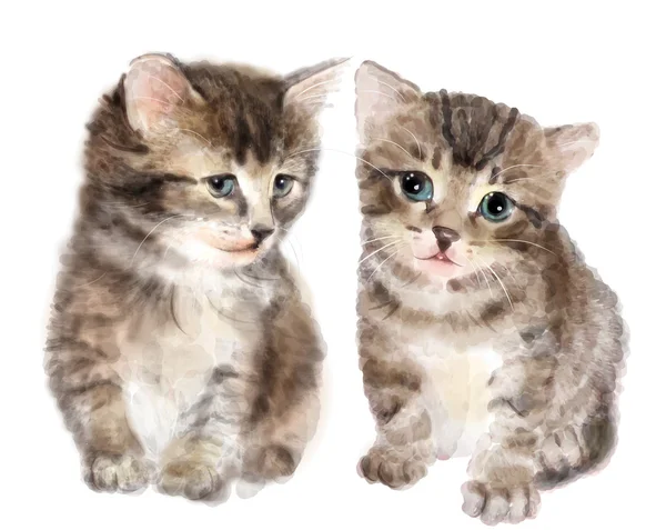 Şirin tüylü yavru kedi çifti. Suluboya taklit.