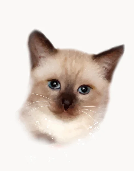 Портрет тайской кошки — стоковый вектор