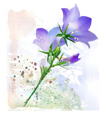 Bluebell. Suluboya boyama taklidi. 