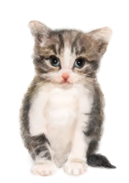 Fluffy kitten.  Imitation of watercolor painting. — Stock Vector