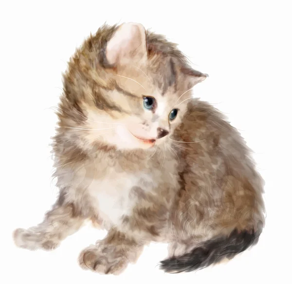 Pluizig kitten. Imitatie van aquarel. — Stockvector