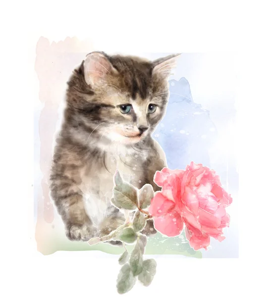 Fluffy kitten with rose.  Imitation of watercolor painting. — Stock Vector