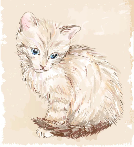 Vintage portrait of the  kitten — Stock Vector